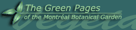 The Green Pages