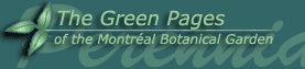 The Green Pages