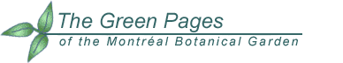 The Green Pages