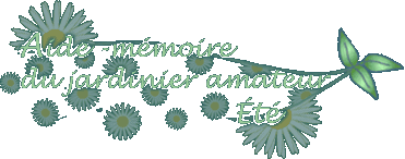 Aide-m�moire du jardinier amateur : �t�