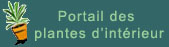 Portail des plantes d'int�rieur