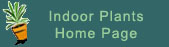 Indoor Plants Home Page