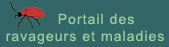 Portail des ravageurs et maladies