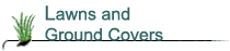 Lawns and Ground Covers