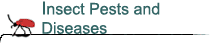 Insect Pests and Diseases