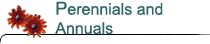 Perennials and Annuals
