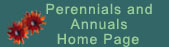 Perennials and Annuals Home Page