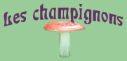 Les champignons