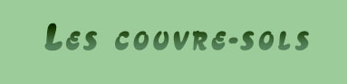Les plantes couvre-sol