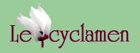 Le cyclamen