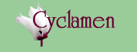 Cyclamen