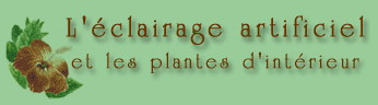 L'�clairage artificiel et les plantes d'int�rieur