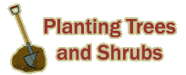 Planting Trees and Shrubs