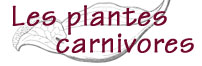 Les plantes carnivores