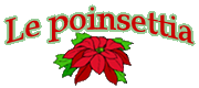 Le poinsettia
