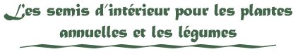 Les semis d'int&eacute;rieur pour les plantes annuelles et les l&eacute;gumes
