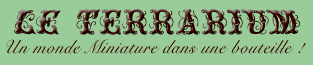 Le Terrarium