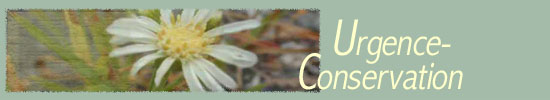 Urgence - Conservation